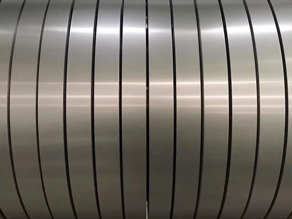 Stainless Steel Strips