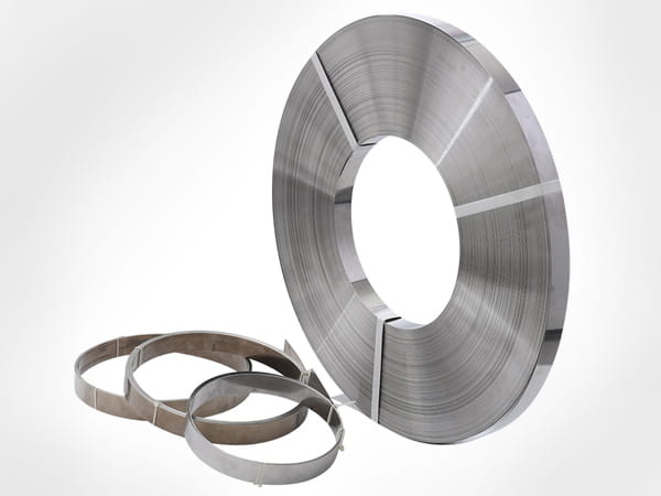 Stainless Steel Strips